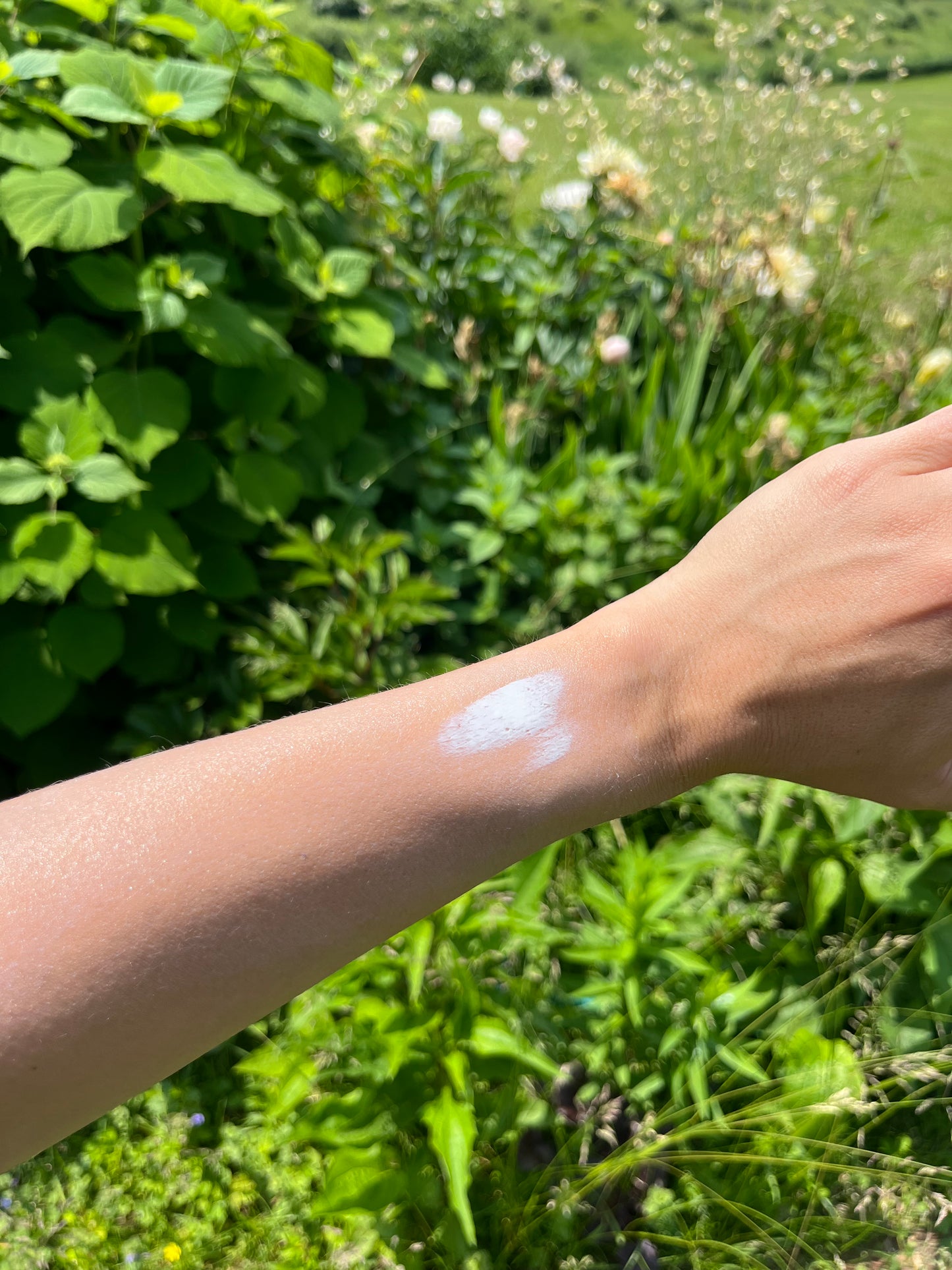 Sun Tallow Balm